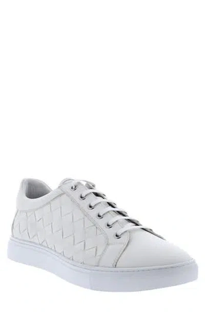 Robert Graham Appaloosa Trainer In White