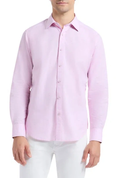 Robert Graham Avondale Cotton Button-up Shirt In Pink