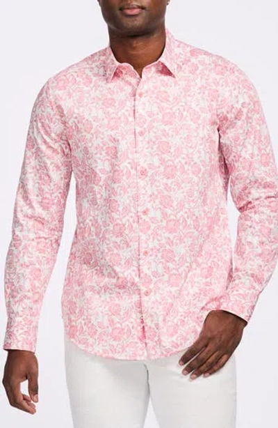 Robert Graham Caledon Cotton Button-up Shirt