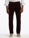 Robert Graham Celestial Straight Fit Velvet Pants In Brown