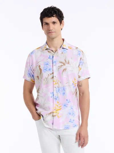 Robert Graham Fletcher Short Sleeve Button Down Shirt Tall In Pink