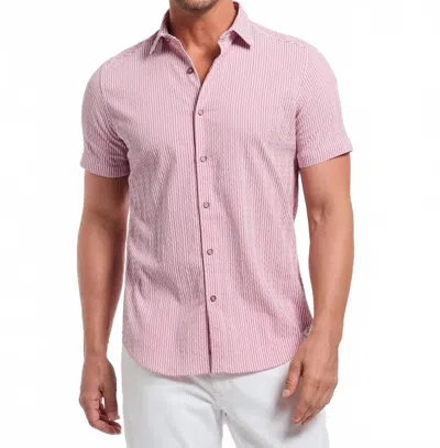 Robert Graham Fornillo Short Sleeve Button Down Shirt In Berry In Pink
