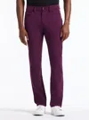 Robert Graham Grady Straight Leg Pants In Purple