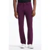 Robert Graham Grady Straight Leg Pants In Purple
