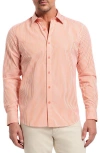Robert Graham Greenwich Stripe Stretch Button-up Shirt