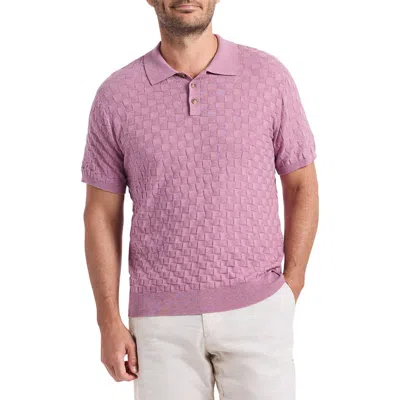 Robert Graham Hampson Cotton Polo Sweater In Pink