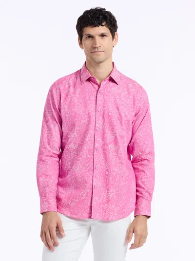 Robert Graham Hudson Long Sleeve Button Down Shirt In Pink