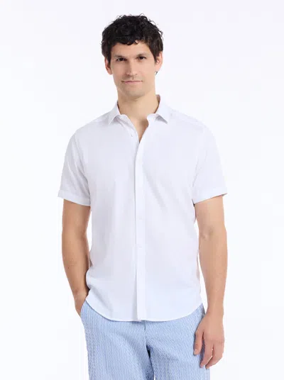 Robert Graham Hudson Short Sleeve Button Down Shirt In White