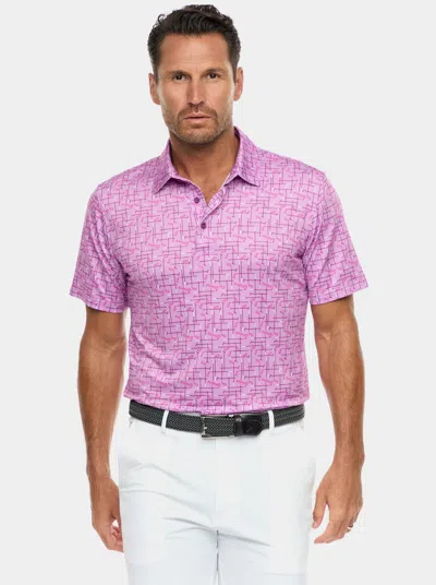 Robert Graham Iron Play Knit Polo In Berry