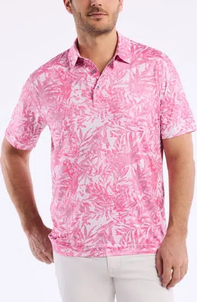 Robert Graham Ives Knit Polo In Light Pink