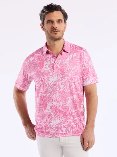 Robert Graham Ives Short Sleeve Polo In Pink
