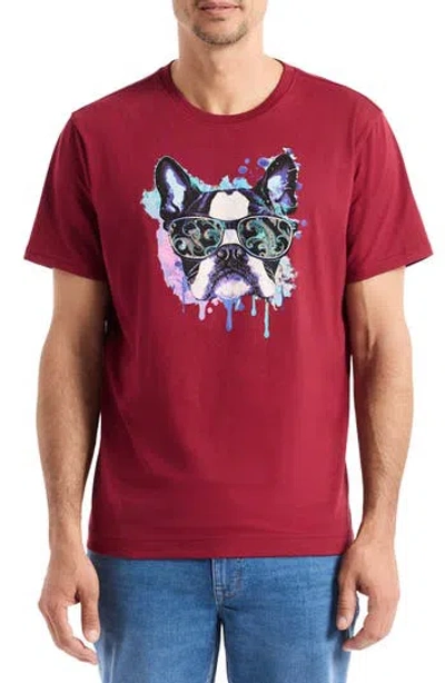 Robert Graham Jet Set Frenchie Graphic T-shirt In Burgundy