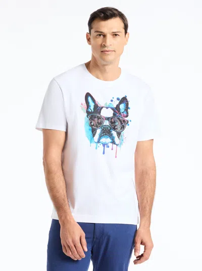 Robert Graham Jetset Frenchie Short Sleeve T-shirt In White