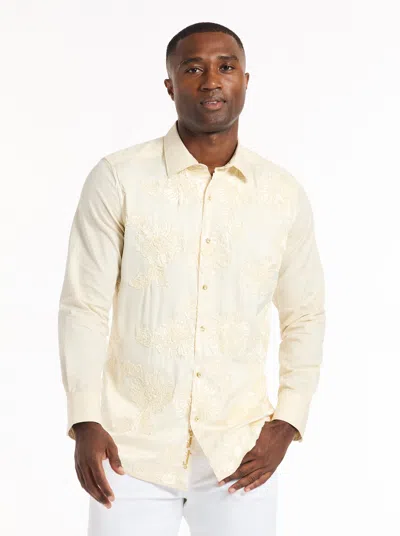 Robert Graham Limited Edition Champagne Dream Long Sleeve Button Down Shirt In Neutral