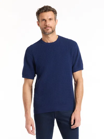 Robert Graham Luis Short Sleeve Sweater In Blue