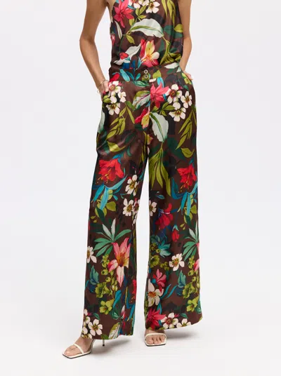 Robert Graham Minna Pant In Multi