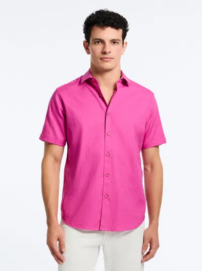 Robert Graham Odyssey Short Sleeve Button Down Shirt In Magenta