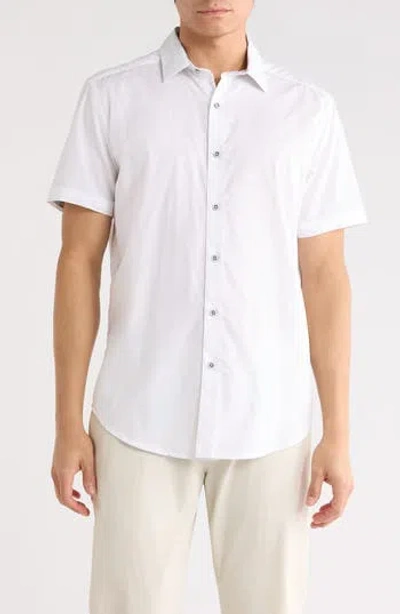 Robert Graham Ornate Cotton Dress Shirt In White