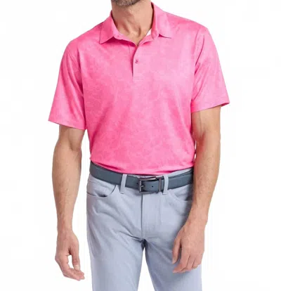 Robert Graham Orsett Short Sleeve Polo In Pink