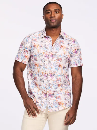 Robert Graham Osric Short Sleeve Button Down Shirt In Multi