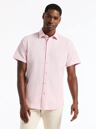 Robert Graham Piers Short Sleeve Button Down Shirt In Pink