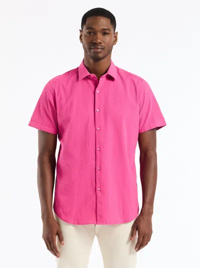 Robert Graham Piers Short Sleeve Button Down Shirt In Pink