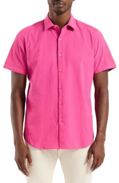 Robert Graham Piers Short Sleeve Seersucker Shirt In Pink