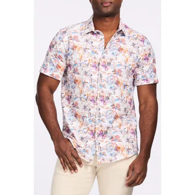Robert Graham Short Sleeve Stretch Cotton Button-up Shirt In White