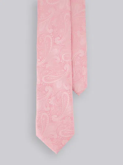 Robert Graham Solid Paisley Tie In Pink
