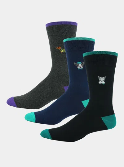 Robert Graham Solo Pups 3 Pack Socks In Multi