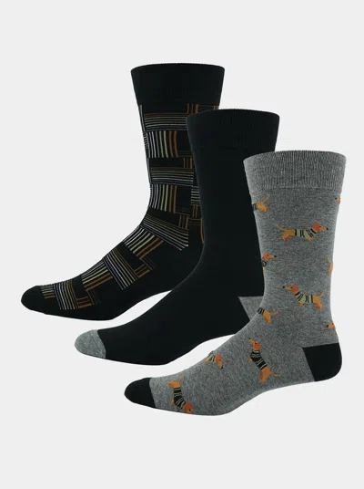 Robert Graham Sweater Dachshunds 3 Pack Socks In Multi