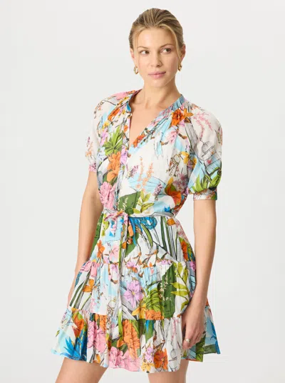 Robert Graham Sydney Dress In Multi