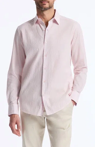 Robert Graham Textured Stretch Cotton Button-up Shirt In Pink