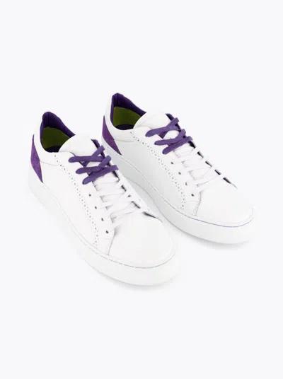 Robert Graham The Nightcap Sneaker In White