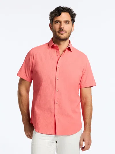 ROBERT GRAHAM ROBERT GRAHAM THRESHER SHORT SLEEVE BUTTON DOWN SHIRT