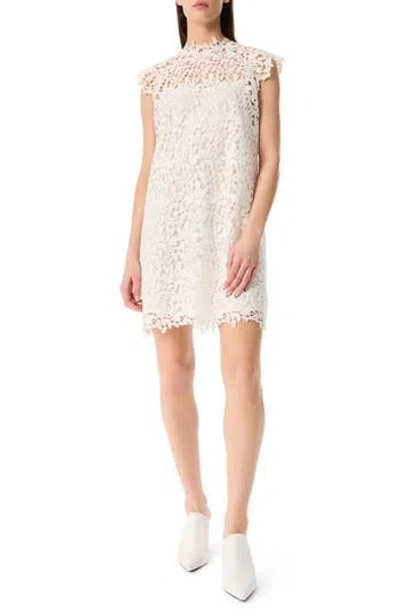 Robert Rodriguez Mirelle Lace Shift Dress