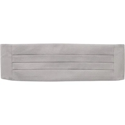 Robert Talbott Baldwin Ceremonial Weave Cummerbund In Gray