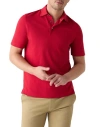 Robert Talbott Walker Short Sleeve Polo In Brown
