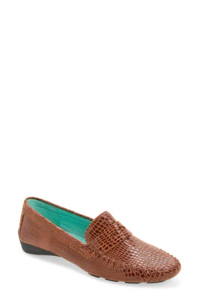 Robert Zur Anna Croc Embossed Loafer In Brown