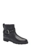 Robert Zur Nicolle Buckle Strap Bootie In Black