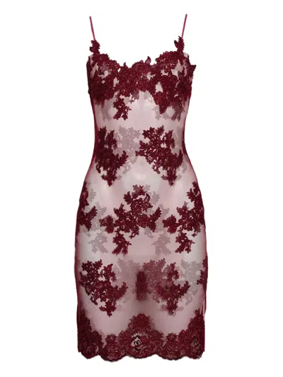 Roberta Einer Lace-detailing Dress In Burgundy