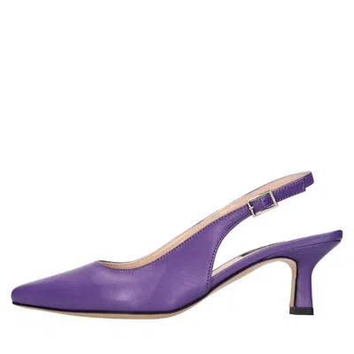 Roberto Botticelli With Heel Purple