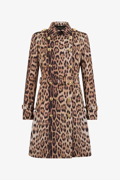 Roberto Cavalli - Female Ready To Wear Jaguar 46 In Brown