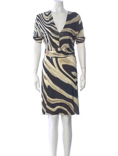 Pre-owned Roberto Cavalli Animal Print Knee-length Dress In Multi