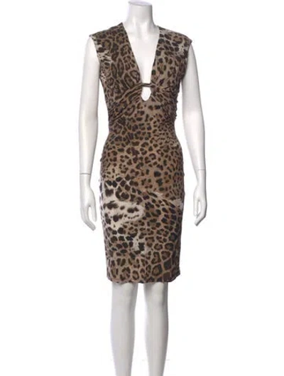 Pre-owned Roberto Cavalli Animal Print Knee-length Dress In Neutral