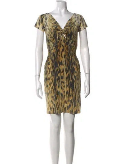Pre-owned Roberto Cavalli Animal Print Mini Dress In Black