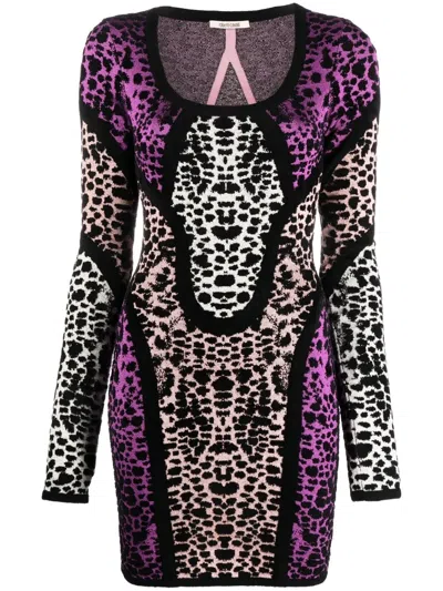 Roberto Cavalli Animal Print Panelled Minidress In Neutrals