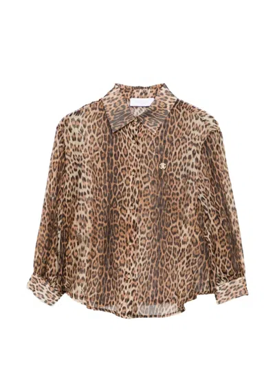 Roberto Cavalli Kids' Animal-print Shirt In Animal Print