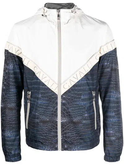 Roberto Cavalli Animal-print Zipped Jacket In Blue