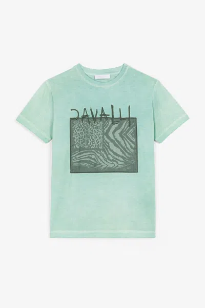 Roberto Cavalli Jogginghose Mit Schlangen-applikation In Light Green